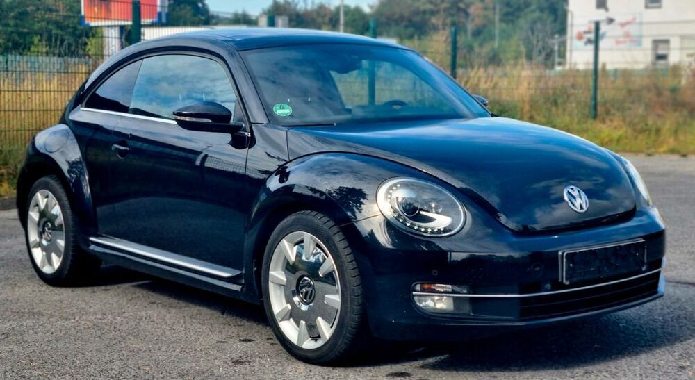Beetle