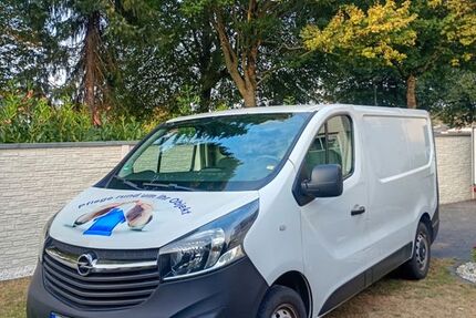 Opel Vivaro 218.000 km 6.999 &euro; Delbrück 33129