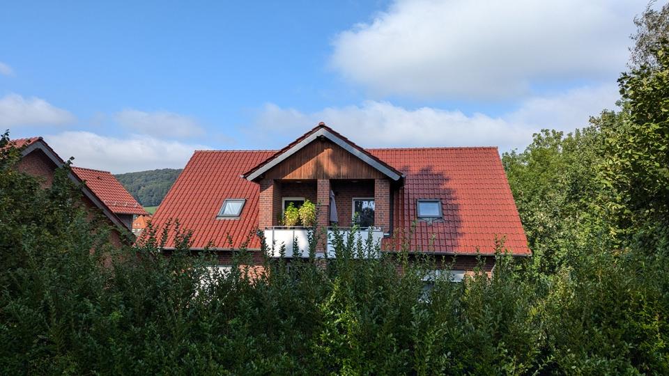 Schöne 2-Zimmer-Wohnung in Bad Driburg 2 zimmer