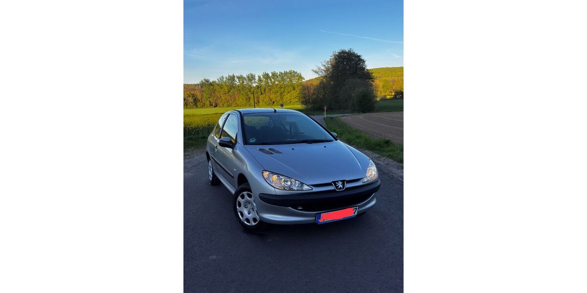 Peugeot 206 233.750 km 899 &euro; Horn Bad Meinberg 32805