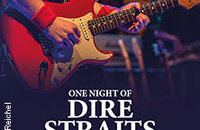 One Night of Dire Straits - Tribute Show