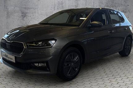 Skoda Fabia 6.500 km 18.990 &euro; Bad Driburg 33014