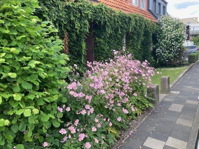 Doppelhaushälfte Paderborn Kernstadt - 7 Zimmer, 170 m&sup2;, 399.900&euro; | Angebot:25686892