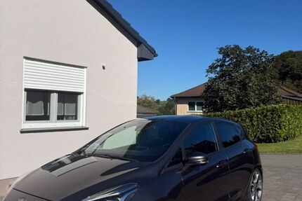 Ford Fiesta 115.000 km 11.000 &euro; Bad Driburg 33014