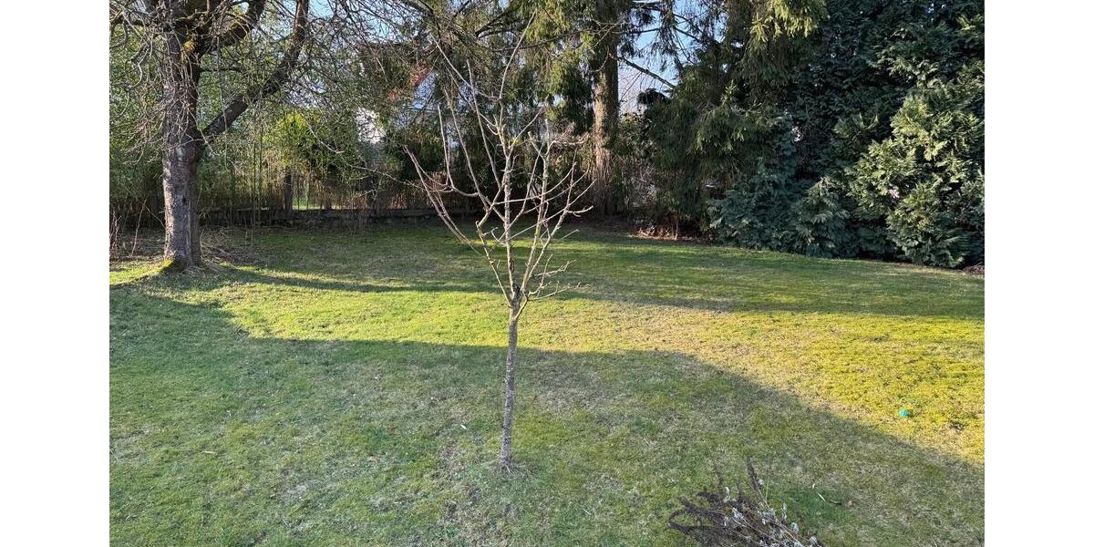 Einfamilienhaus Horn-Bad Meinberg Bad Meinberg - 8 Zimmer, 180 m&sup2;, 255.000&euro; | Angebot:25824450