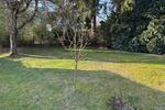 Einfamilienhaus Horn-Bad Meinberg Bad Meinberg - 8 Zimmer, 180 m&sup2;, 255.000&euro; | Angebot:25824450
