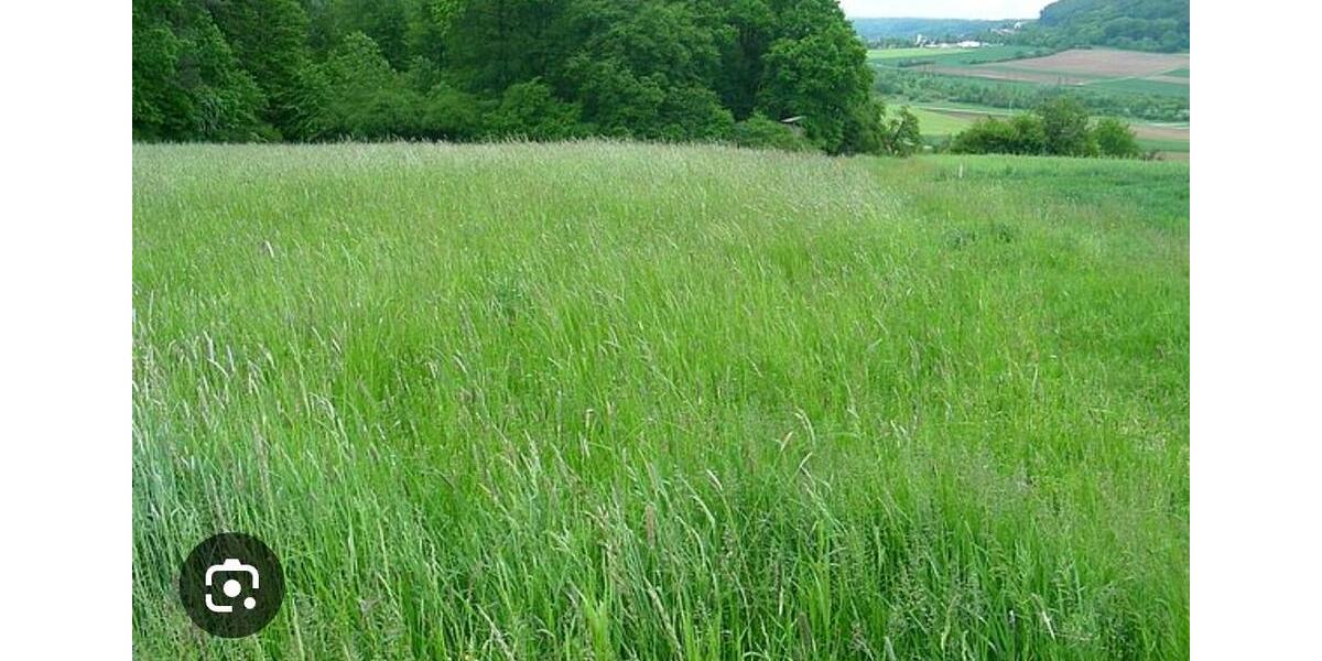 Grundstück Nieheim - 50&euro; | Angebot:24258680