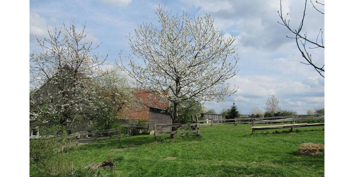 Mehrfamilienhaus, Wohnhaus Horn-Bad Meinberg Belle - 6 Zimmer, 232 m&sup2;, 195.000&euro; | Angebot:26724850