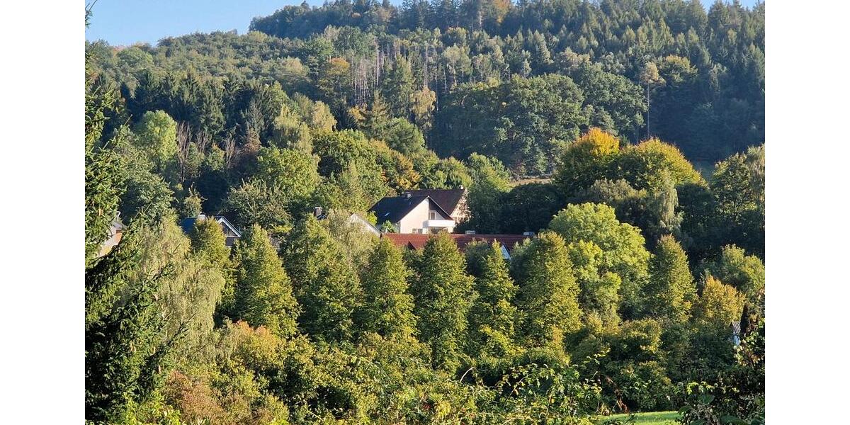 Einfamilienhaus Detmold Hiddesen - 6 Zimmer, 171 m&sup2;, 329.000&euro; | Angebot:25840879