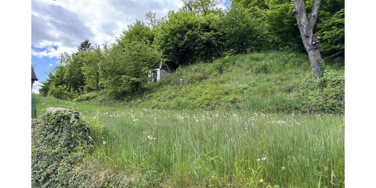 Grundstück Detmold / Berlebeck Berlebeck - 88.000&euro; | Angebot:25201767