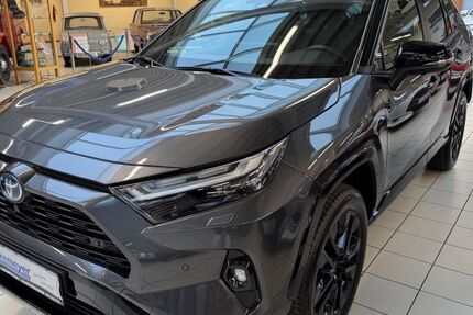 Toyota RAV 4 10.900 km 41.890 &euro; Paderborn 33104