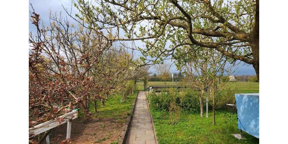 Etagenwohnung Marsberg - 3 Zimmer, 78 m&sup2;, 80.000&euro; | Angebot:26223562