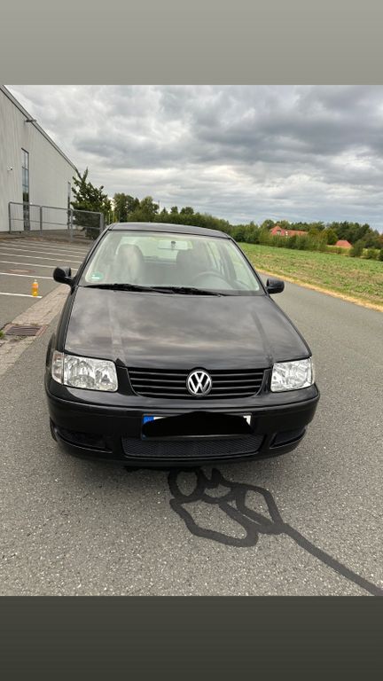 Polo
