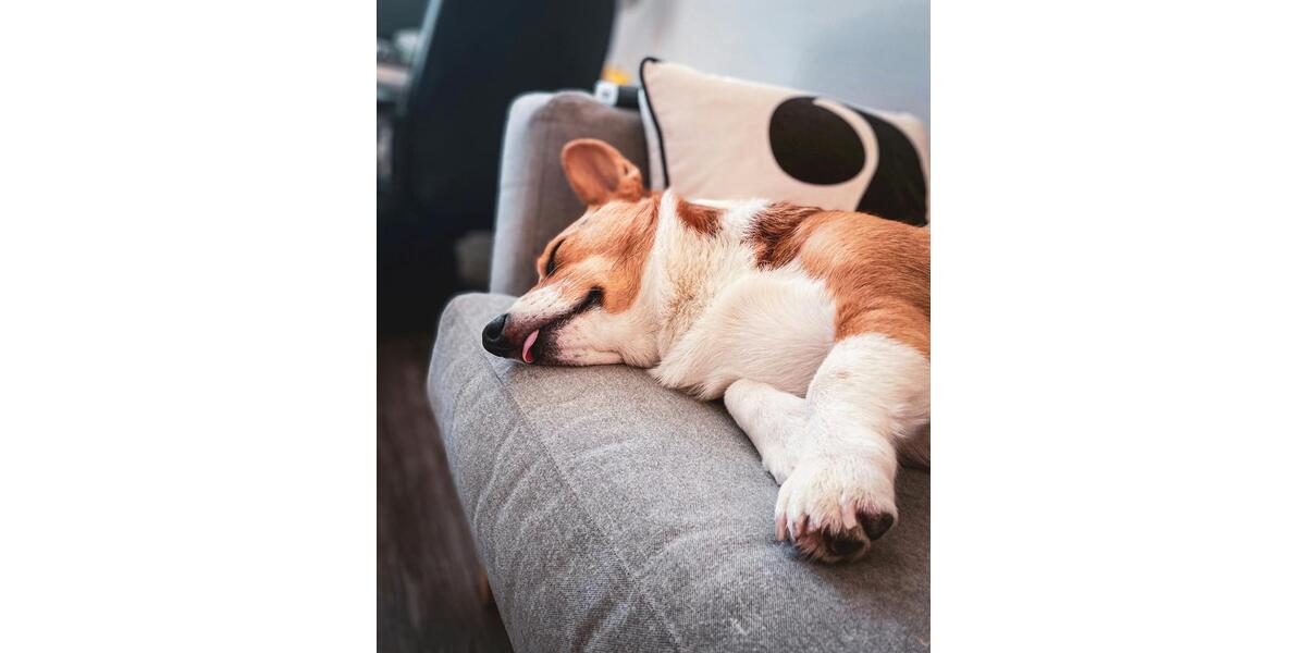 Einfamilienhaus Oerlinghausen - 5 Zimmer, 136 m&sup2;, 1.999&euro; | Angebot:24980617