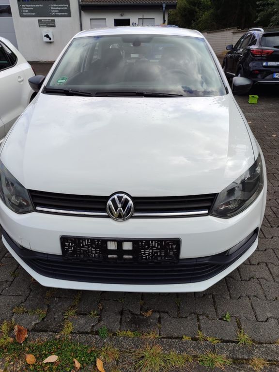 Polo