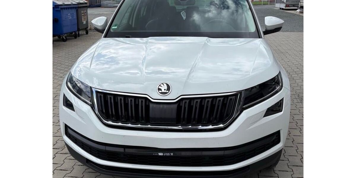 Skoda Kodiaq 180.300 km 22.999 &euro; Salzkotten 33154