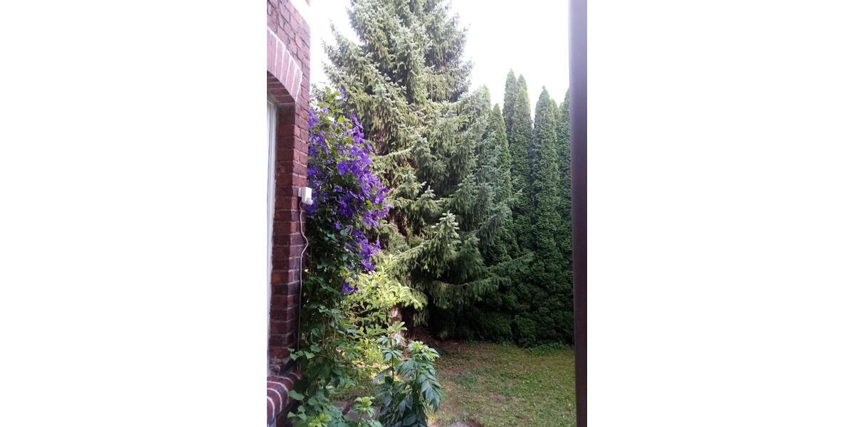 Etagenwohnung Steinheim - 4 Zimmer, 100 m&sup2;, 700&euro; | Angebot:26465581