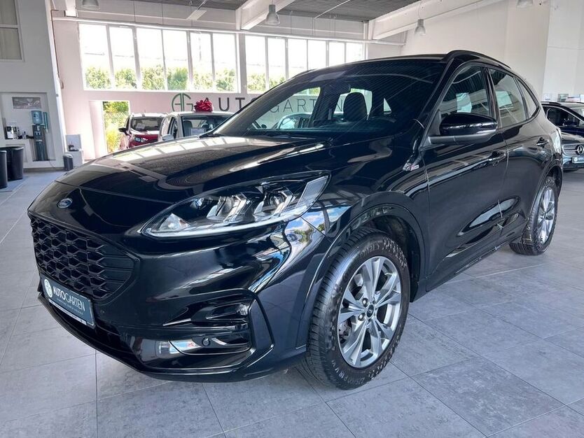 Kuga