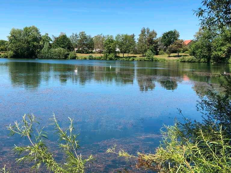 Dachgeschoßwohnung Bad Lippspringe - 3 Zimmer, 75 m&sup2;, 900&euro; | Angebot:25265374