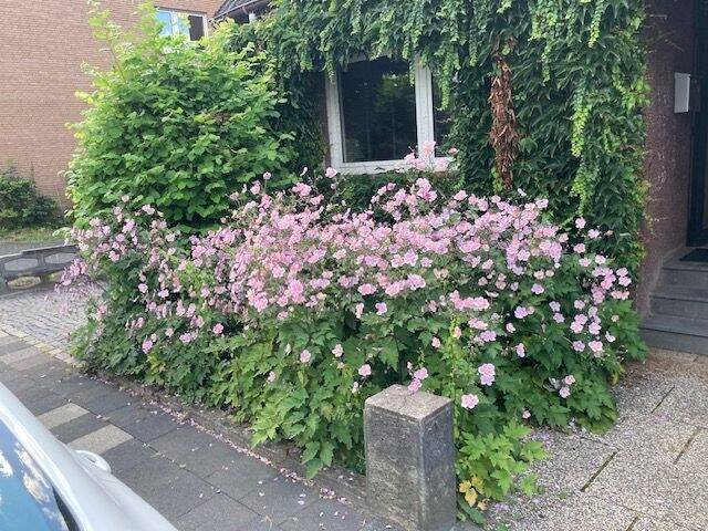 Doppelhaushälfte Paderborn Kernstadt - 7 Zimmer, 170 m&sup2;, 399.900&euro; | Angebot:25686892