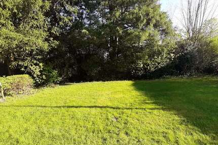 Grundstück Horn-Bad Meinberg Bad Meinberg - 65.000&euro; | Angebot:26286019