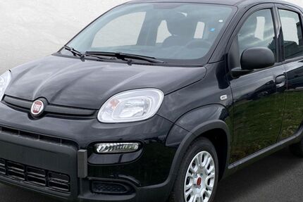 Fiat Panda 14.000 km 14.990 &euro; Delbrück-Westenholz 33129