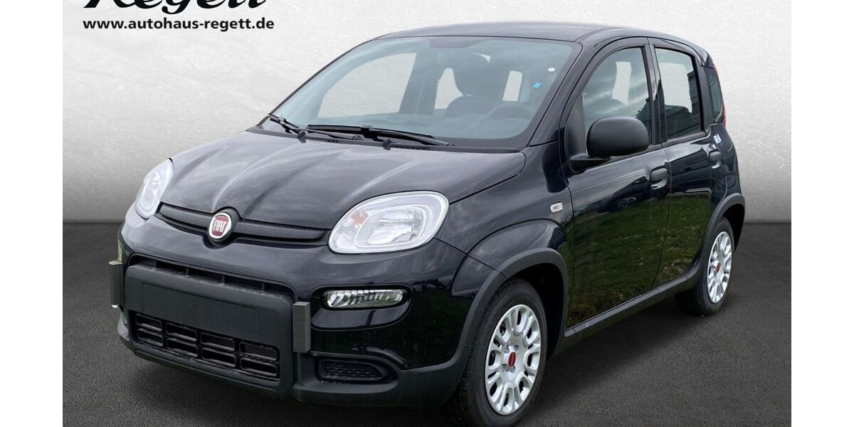 Fiat Panda 14.000 km 14.990 &euro; Delbrück-Westenholz 33129
