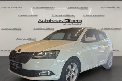 Skoda Fabia 113.500 km 8.890 &euro; Detmold 32758