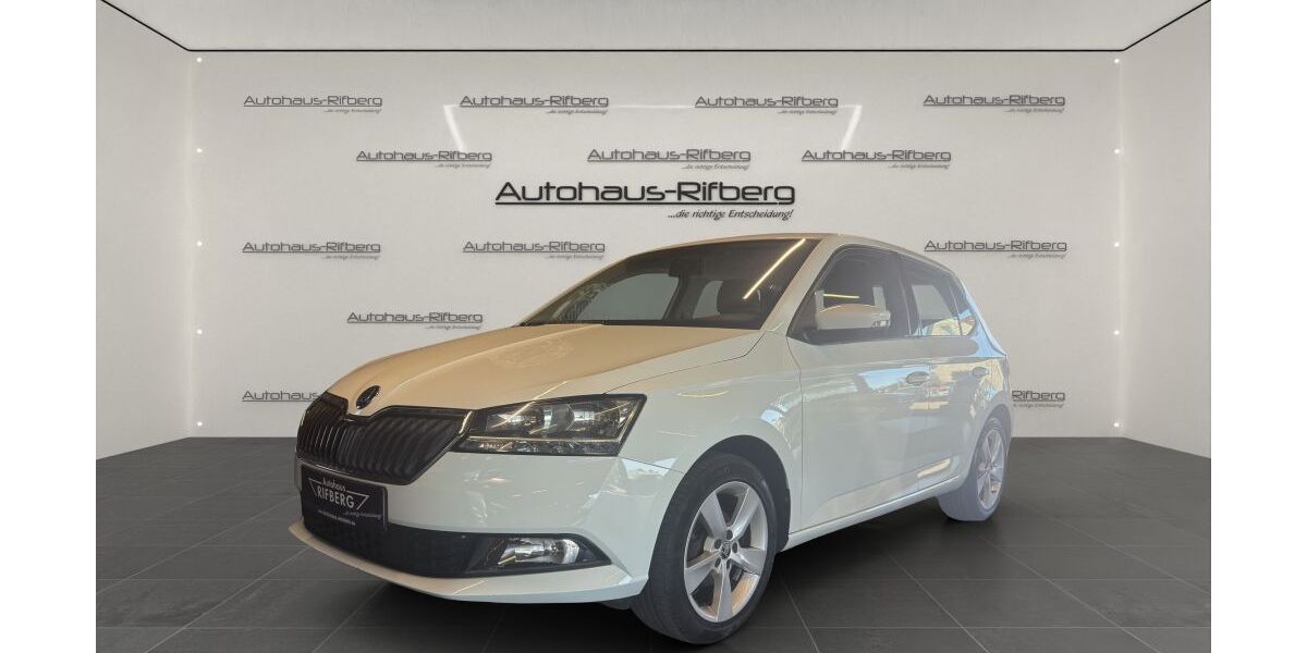 Skoda Fabia 113.500 km 8.890 &euro; Detmold 32758