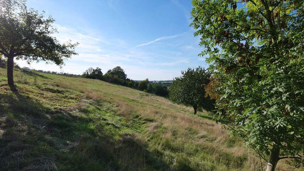 Grundstück Büren Wewelsburg - 70.000&euro; | Angebot:22998453