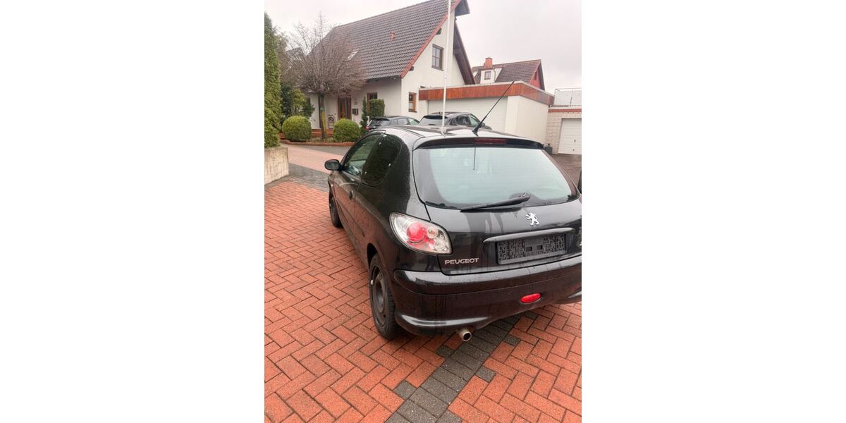Peugeot 206 247.311 km 1.799 &euro; Brakel 33045