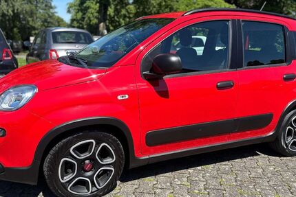 Fiat Panda 48.238 km 9.990 &euro; Willebadessen 34439