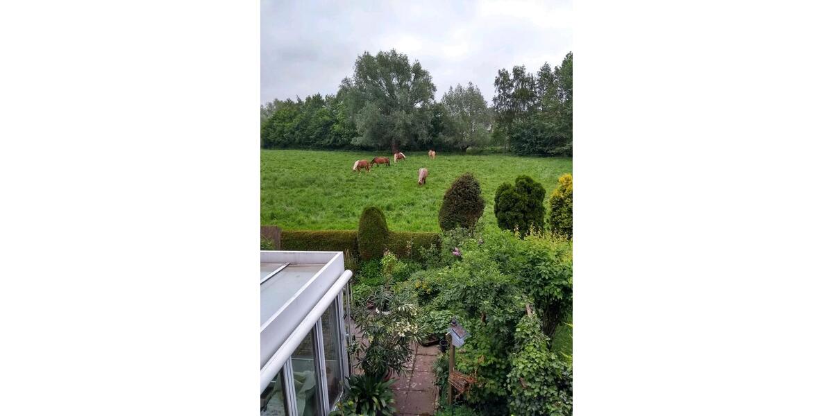 Doppelhaushälfte Detmold Hiddesen - 4 Zimmer, 129 m&sup2;, 1.100&euro; | Angebot:25795319