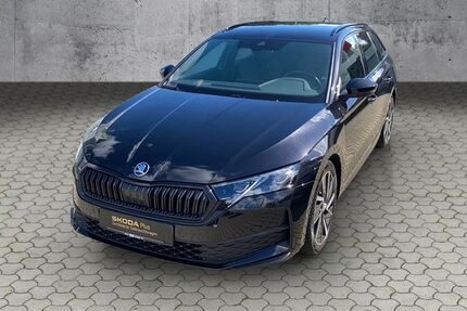 Skoda Octavia 17.100 km 32.930 € Bad Driburg 33014