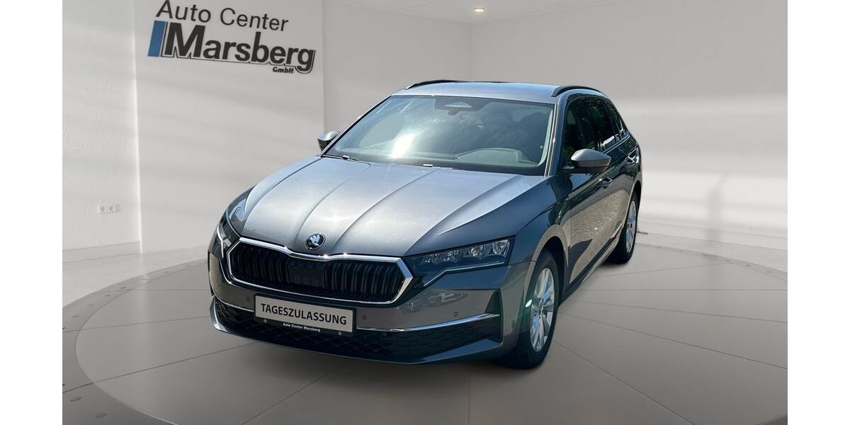 Skoda Octavia 2.120 km 33.980 &euro; Marsberg 34431