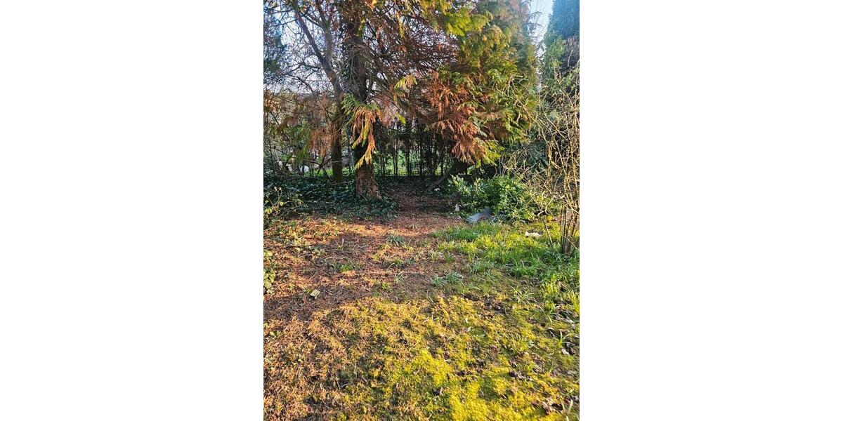 Einfamilienhaus Paderborn Elsen - 5 Zimmer, 100 m&sup2;, 465.999&euro; | Angebot:26238196