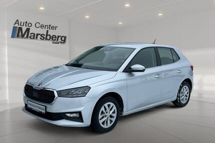 Skoda Fabia 18.382 km 17.980 &euro; Marsberg 34431