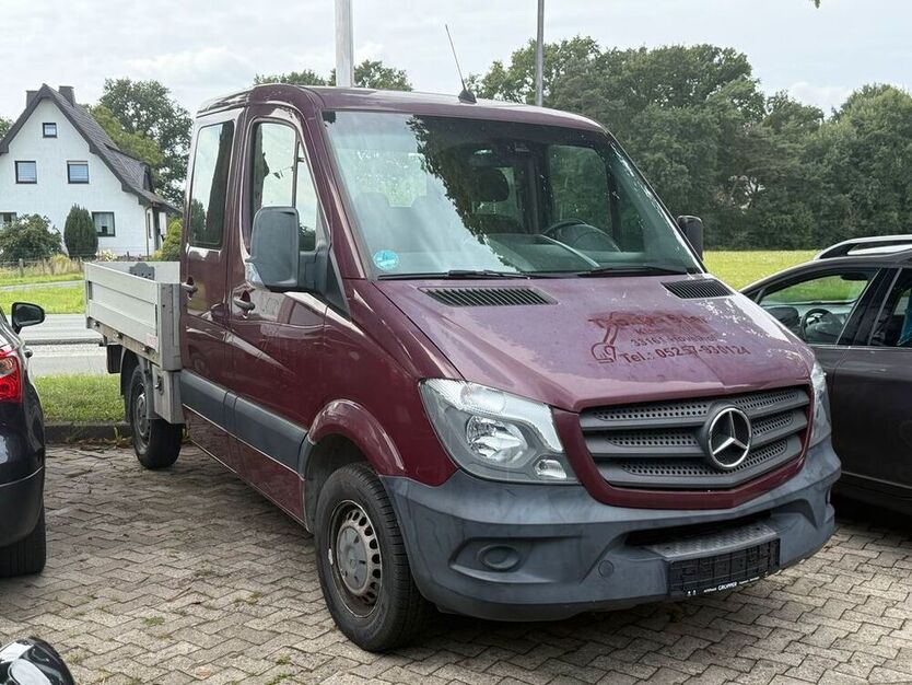 Sprinter