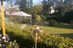 Mehrfamilienhaus, Wohnhaus Detmold Pivitsheide - 1 Zimmer, 145 m&sup2;, 390.000&euro; | Angebot:26739264