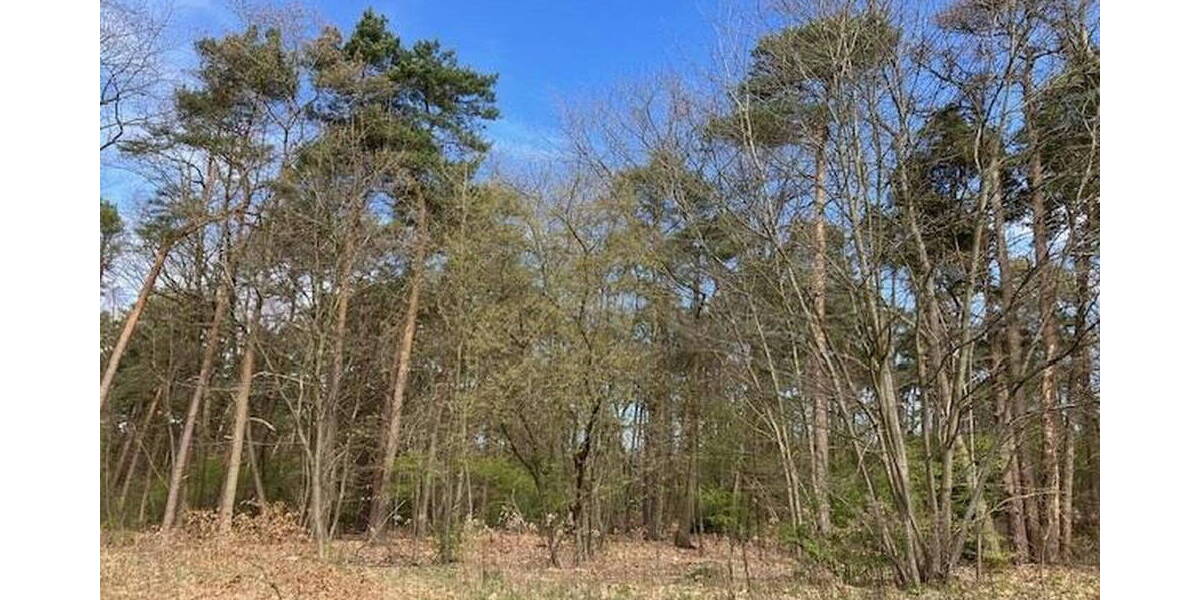 Reihenmittelhaus Schloß Holte-Stukenbrock Schloß Holte - 5 Zimmer, 166 m&sup2;, 509.000&euro; | Angebot:26053639