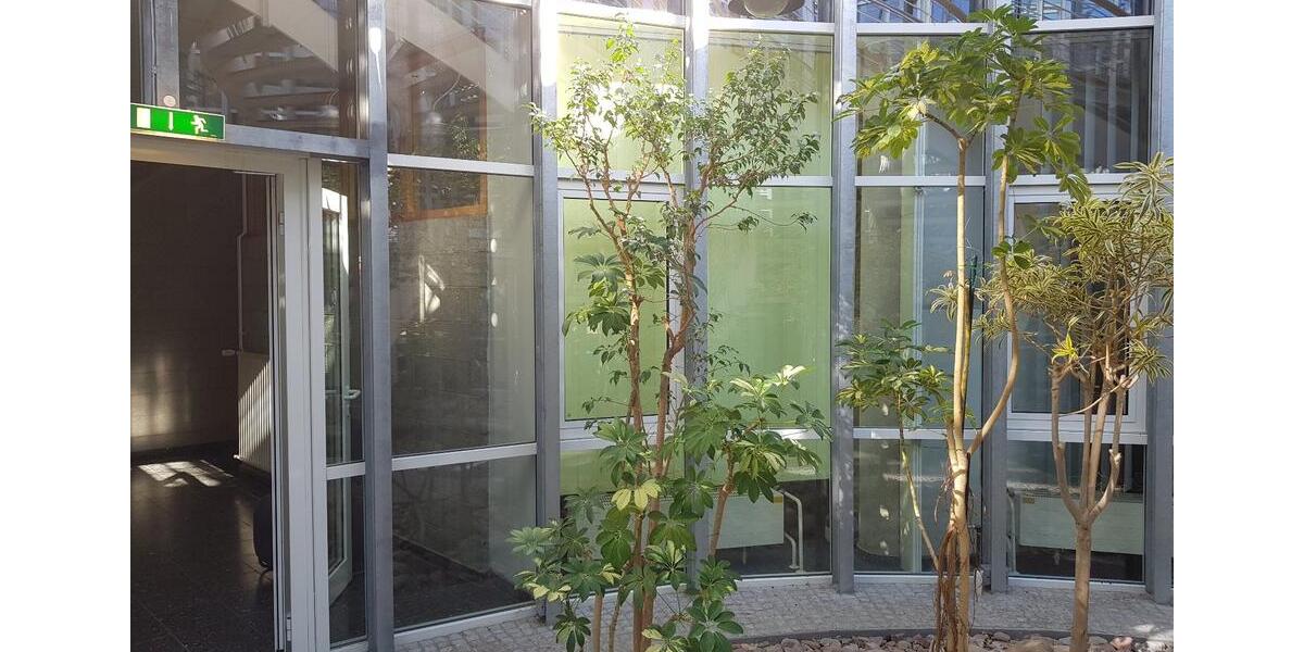 Gewerbeobjekt Detmold Hiddesen - 1.696&euro; | Angebot:22950875