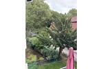 Etagenwohnung Bad Lippspringe - 2 Zimmer, 56 m&sup2;, 415&euro; | Angebot:27600317