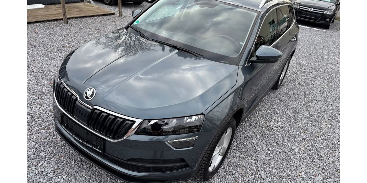 Skoda Karoq 92.235 km 18.790 &euro; Paderborn 33104