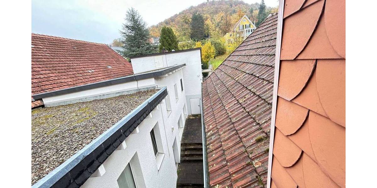 Gewerbeobjekt Marsberg Niedermarsberg - 580.000&euro; | Angebot:22491041