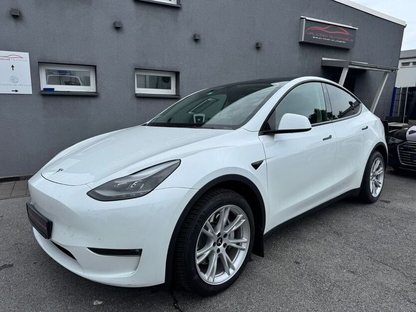 Model Y