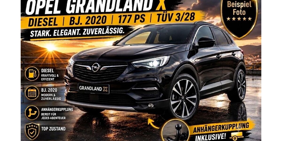 Opel Grandland (X) 112.000 km 17.499 &euro; Paderborn 33104