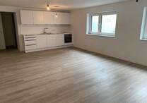 modernes Apartment mit Einbauküche in Theesen