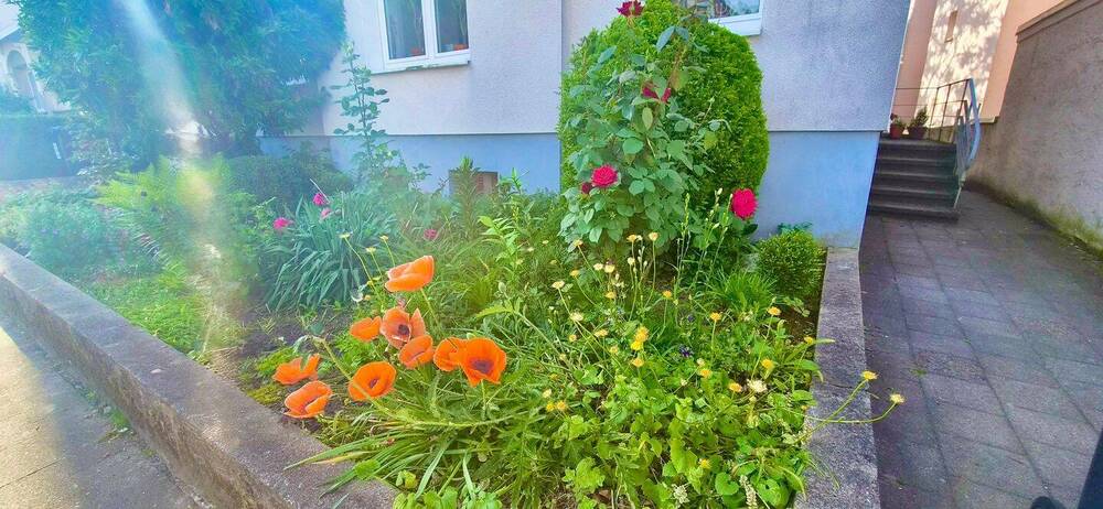 Mehrfamilienhaus, Wohnhaus Paderborn Kernstadt - 1 Zimmer, 286 m&sup2;, 649.000&euro; | Angebot:26816395