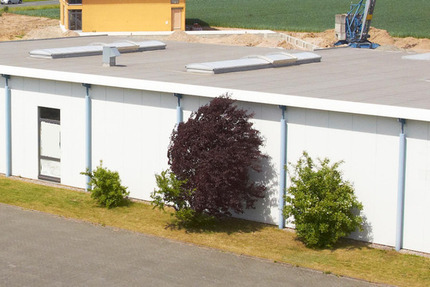 Zu vermieten: Gewerbehalle Sülterheide in LageLippe zimmer