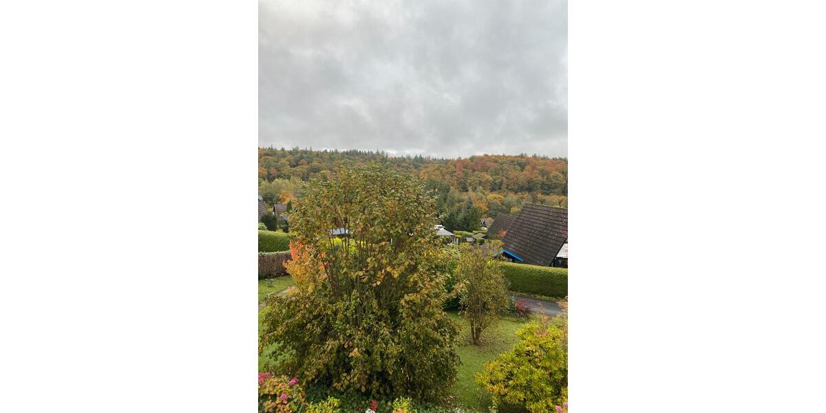 Einfamilienhaus Bad Wünnenberg - 3 Zimmer, 55 m&sup2;, 554&euro; | Angebot:24868353